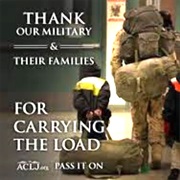 Veteran and Military Families Month (November)
