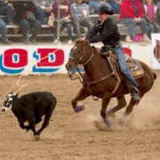 Calf Roping