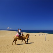 Ride a Camel at Tottori Sand Dunes