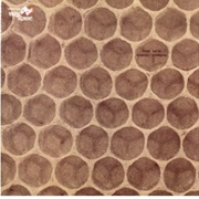 Franco Leprino - Integrati... Disintegrati