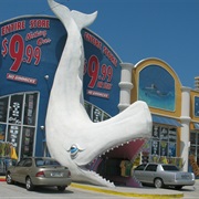 Moby Dick's Gift Shop