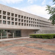 Museo De Antropología, Xalapa, Mexico