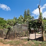 Pitcairn Islands Prison at Bob's Valley