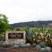 Tour Round Pond Olive Oil Mill - Rutherford, California