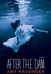 After the Dam (Amy Hassinger)