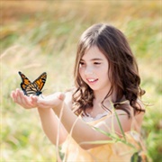 Lepidopterophobia – the Fear of Butterflies