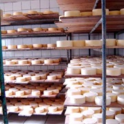Visit the Cheese Factory in Salinas De Guaranda