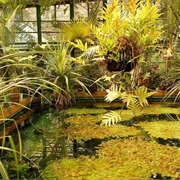 Alexandru Borza Botanical Garden (Cluj-Napoca)