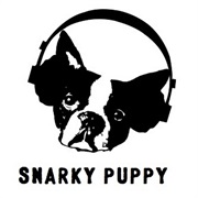 Snarky Puppy