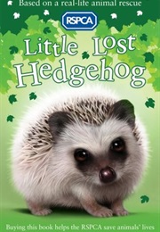 Little Lost Hedgehog (Jill Hucklesby)
