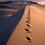 Croajingolong National Park (VIC)