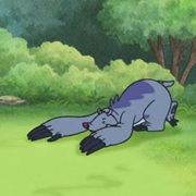 Backhoe (Experiment 040)