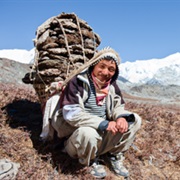 A Sherpa