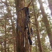 The Complete Manual of Suicide Was Published in 1993 and Sold More Than 1 Million Copies