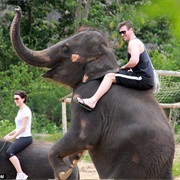 Ride an Elephant