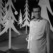 Too Many Christmas Trees