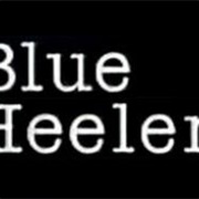Blue Heelers