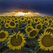Land and Sky Scenic Byway