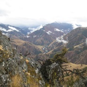 Salmon-Challis National Forest