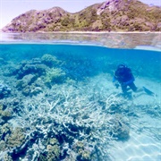 Great Barrier Reef Marine Park, Australia
