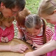 How Old Was the Tree?