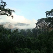 AFI Mountain Drill Ranch, Nigeria
