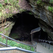 Mammoth Cave National Park, KY