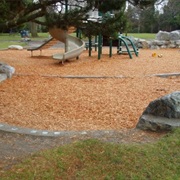 Sunday in the Park (Bel Kaufman)