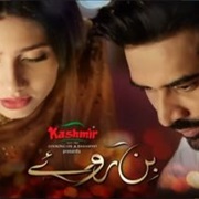 Bin Roye