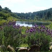 Sierra Morena, Spain
