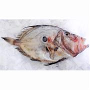 John Dory