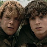 Frodo and Sam
