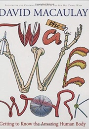 The Way We Work: Getting to Know the Amazing Human Body (David Macauley)