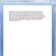 Word Documents
