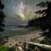 Nature Walk at Night