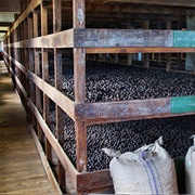 Nutmeg Processing Cooperative, Grenada