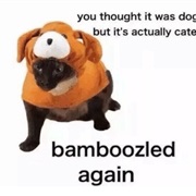 Bamboozled