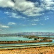 Sunnyvale, California