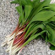 Ramps