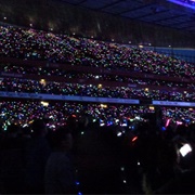 Have You Ever Been to a Rock Concert?