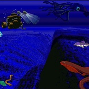 The Magic School Bus Explores the Ocean