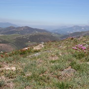 Fuentes Carrionas, Spain