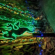 Zoo Lights