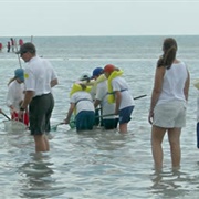 Marjory Stoneman Douglas Biscayne Nature Center