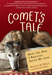 Comet's Tale (Steven D. Wolf)