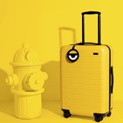 Minion Luggage