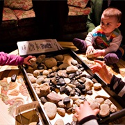 University of Colorado Museum of Natural History