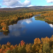 Stabbursdalen National Park, Norway