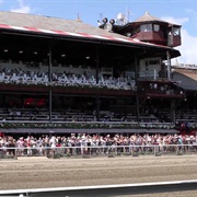 Saratoga Race Course, Saratoga Springs, NY