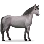 Chincoteague Pony - Mouse Gray